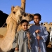market_camel_embaba_cai_v_0049_egy0312.jpg